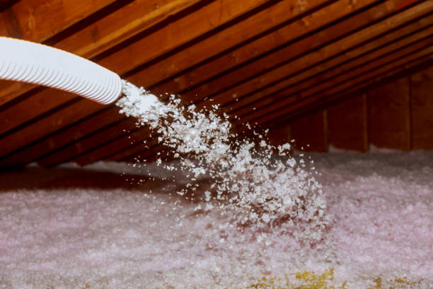Best Types of Insulation in Blackville, SC