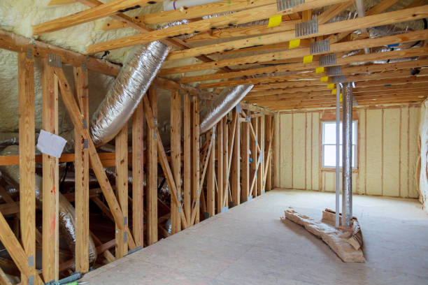 Best Residential Insulation in Blackville, SC