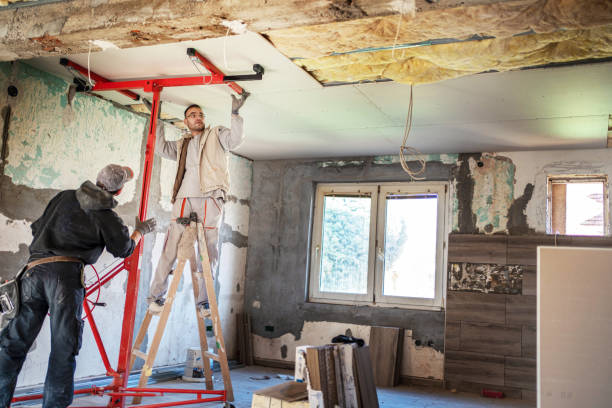Best Insulation Maintenance and Repair in Blackville, SC