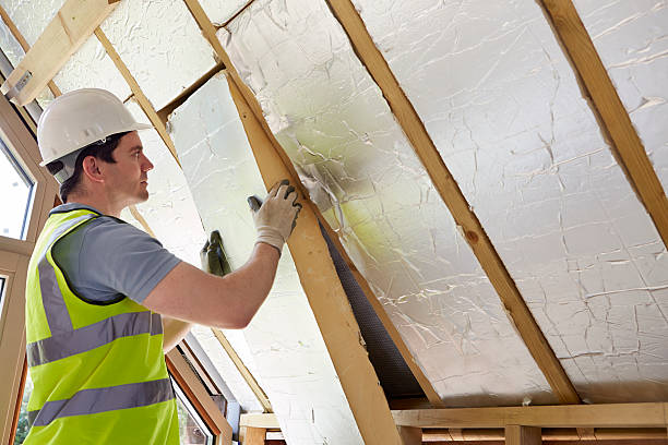 Best Insulation for Specific Applications in Blackville, SC