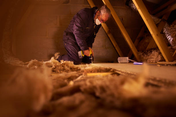 Best Insulation for Specific Applications in Blackville, SC