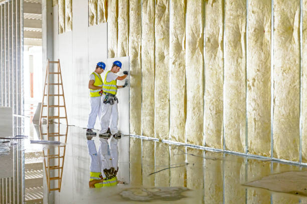 Best Commercial Insulation in Blackville, SC